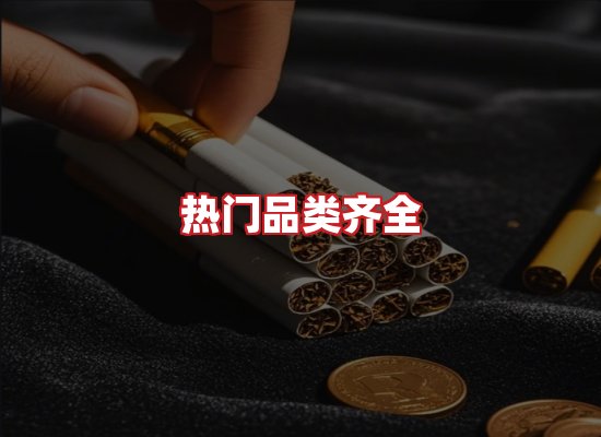 专业团队